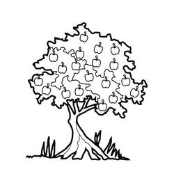 Dessin à colorier: Pommier (Nature et saisons) #163740 - Coloriages à Imprimer Gratuits