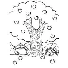 Dessin à colorier: Pommier (Nature et saisons) #163747 - Coloriages à Imprimer Gratuits