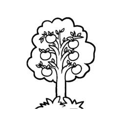 Dessin à colorier: Pommier (Nature et saisons) #163751 - Coloriages à Imprimer Gratuits