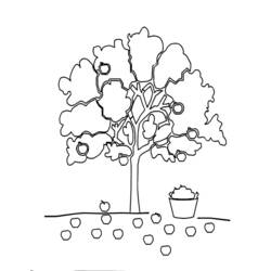 Dessin à colorier: Pommier (Nature et saisons) #163752 - Coloriages à Imprimer Gratuits