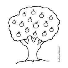 Dessins à colorier: Pommier - Coloriages à Imprimer Gratuits