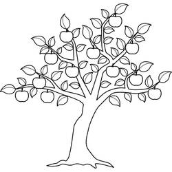 Dessin à colorier: Pommier (Nature et saisons) #163762 - Coloriages à Imprimer Gratuits