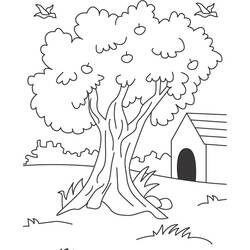 Dessin à colorier: Pommier (Nature et saisons) #163772 - Coloriages à Imprimer Gratuits