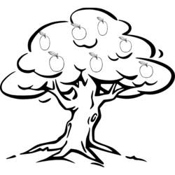 Dessin à colorier: Pommier (Nature et saisons) #163779 - Coloriages à Imprimer Gratuits