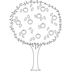 Dessin à colorier: Pommier (Nature et saisons) #163789 - Coloriages à Imprimer Gratuits