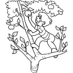 Dessin à colorier: Pommier (Nature et saisons) #163793 - Coloriages à Imprimer Gratuits