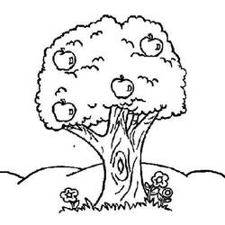 Dessin à colorier: Pommier (Nature et saisons) #163794 - Coloriages à Imprimer Gratuits