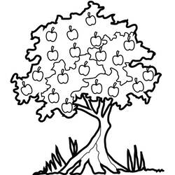 Dessin à colorier: Pommier (Nature et saisons) #163846 - Coloriages à Imprimer Gratuits