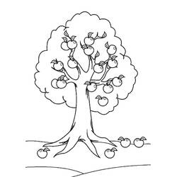 Coloriage Pommier (Nature et saisons) #174080 à imprimer et colorier