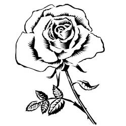 Dessin à colorier: Roses (Nature et saisons) #161863 - Coloriages à Imprimer Gratuits