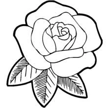 Dessin à colorier: Roses (Nature et saisons) #161871 - Coloriages à Imprimer Gratuits