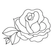 Dessin à colorier: Roses (Nature et saisons) #161872 - Coloriages à Imprimer Gratuits