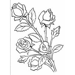 Dessin à colorier: Roses (Nature et saisons) #161886 - Coloriages à Imprimer Gratuits