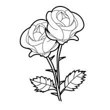 Dessin à colorier: Roses (Nature et saisons) #161890 - Coloriages à Imprimer Gratuits