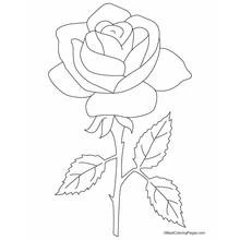Dessin à colorier: Roses (Nature et saisons) #161893 - Coloriages à Imprimer Gratuits