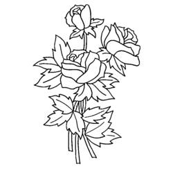 Dessin à colorier: Roses (Nature et saisons) #161895 - Coloriages à Imprimer Gratuits