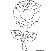Dessin à colorier: Roses (Nature et saisons) #161897 - Coloriages à Imprimer Gratuits