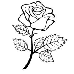 Dessin à colorier: Roses (Nature et saisons) #161936 - Coloriages à Imprimer Gratuits