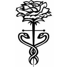 Coloriage Roses (Nature et saisons) #161937 à imprimer et colorier