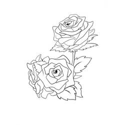 Coloriage Roses (Nature et saisons) #176447 à imprimer et colorier