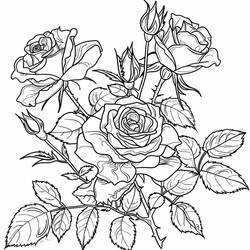 Coloriage Roses (Nature et saisons) #218715 à imprimer et colorier