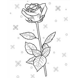 Coloriage Roses (Nature et saisons) #218720 à imprimer et colorier