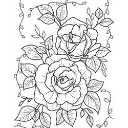 Coloriage Roses (Nature et saisons) #218729 à imprimer et colorier
