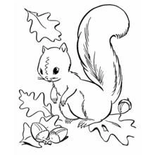 Dessin à colorier: Saison Automne (Nature et saisons) #164045 - Coloriages à Imprimer Gratuits