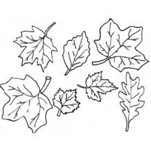 Dessin à colorier: Saison Automne (Nature et saisons) #164059 - Coloriages à Imprimer Gratuits