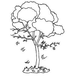 Dessin à colorier: Saison Automne (Nature et saisons) #164072 - Coloriages à Imprimer Gratuits