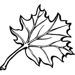 Dessin à colorier: Saison Automne (Nature et saisons) #164084 - Coloriages à Imprimer Gratuits
