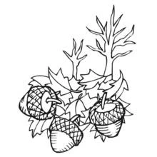 Coloriage Saison Automne (Nature et saisons) #164120 à imprimer et colorier