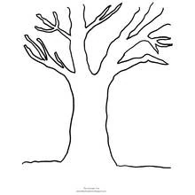 Dessin à colorier: Saison Automne (Nature et saisons) #164133 - Coloriages à Imprimer Gratuits