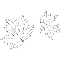 Coloriage Saison Automne (Nature et saisons) #164140 à imprimer et colorier