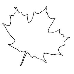 Dessin à colorier: Saison Automne (Nature et saisons) #164300 - Coloriages à Imprimer Gratuits