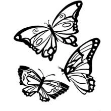 Dessin à colorier: Saison Été (Nature et saisons) #165232 - Coloriages à Imprimer Gratuits