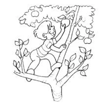 Coloriage Saison Été (Nature et saisons) #165236 à imprimer et colorier