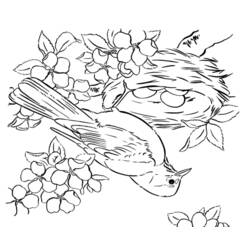 Dessin à colorier: Saison Printemps (Nature et saisons) #164821 - Coloriages à Imprimer Gratuits