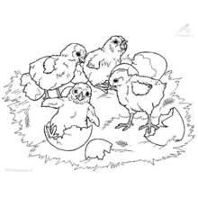 Coloriage Saison Printemps (Nature et saisons) #164840 à imprimer et colorier