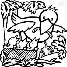 Coloriage Saison Printemps (Nature et saisons) #164846 à imprimer et colorier