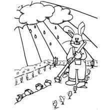 Coloriage Saison Printemps (Nature et saisons) #164917 à imprimer et colorier