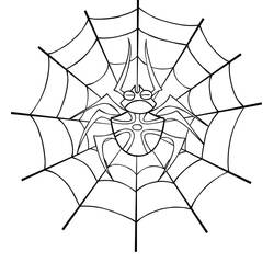 Dessins à colorier: Toile d’Araignée - Coloriages à Imprimer Gratuits