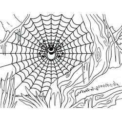 Dessin à colorier: Toile d’Araignée (Nature et saisons) #204195 - Coloriages à Imprimer Gratuits