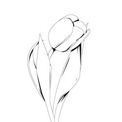 Dessin à colorier: Tulipe (Nature et saisons) #161615 - Coloriages à Imprimer Gratuits