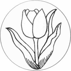 Dessin à colorier: Tulipe (Nature et saisons) #161622 - Coloriages à Imprimer Gratuits