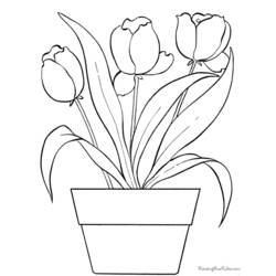 Dessin à colorier: Tulipe (Nature et saisons) #161661 - Coloriages à Imprimer Gratuits