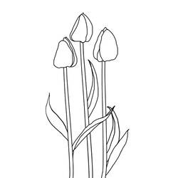 Dessin à colorier: Tulipe (Nature et saisons) #161667 - Coloriages à Imprimer Gratuits