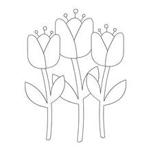 Coloriage Tulipe (Nature et saisons) #161687 à imprimer et colorier