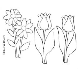 Dessin à colorier: Tulipe (Nature et saisons) #161704 - Coloriages à Imprimer Gratuits