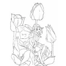 Coloriage Tulipe (Nature et saisons) #161716 à imprimer et colorier